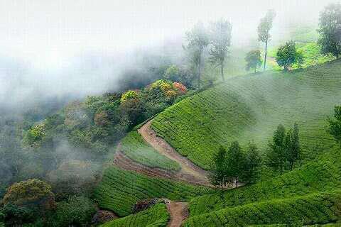 Kerala Package.. Heaven In South India