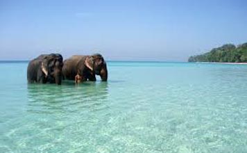 Amazing Andaman Honeymoon Package