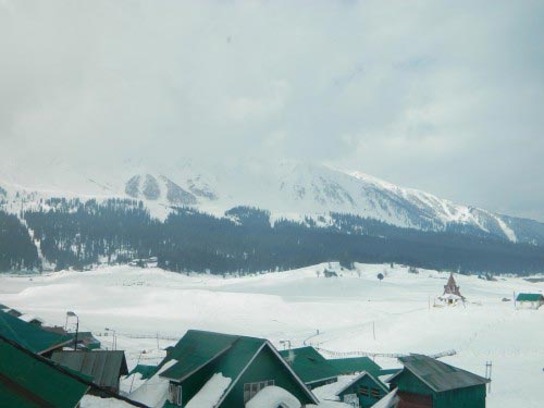 Kashmir Tulip Package