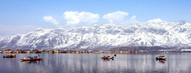 Kashmir Tulip Package