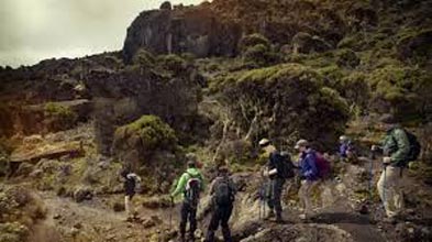 Mount Kilimanjaro Climb – Marangu Route With Extra Day Tour
