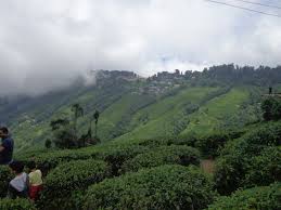 Darjeeling, Gangtok, Lachung Package