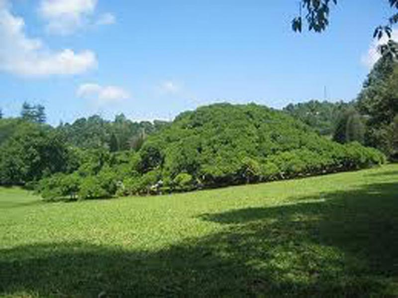 Sri Lanka 2 days Kandy and Nuwara Eliya Tour