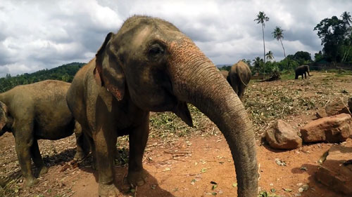 Sri Lanka Ramayana Tour