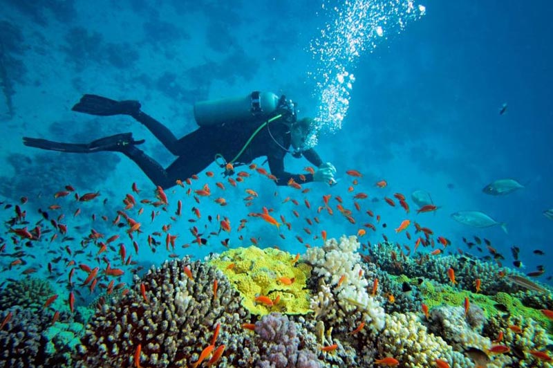 Ekokan Water Sports and Scuba Diving Tour