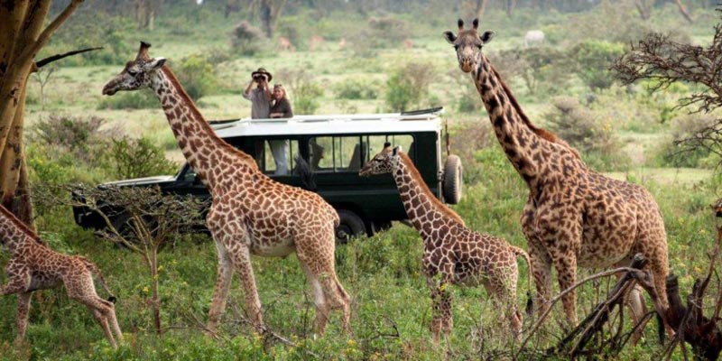 Masai Mara Group Joining On A Budget Tented Camp Tour