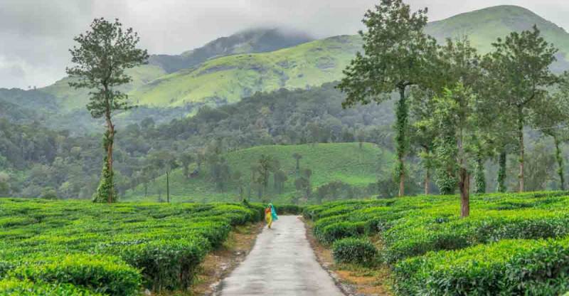 Bangalore Coorg Special 4 Night 5 Days Tour Package