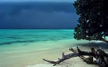 Andaman Tour Package With Havelock Island