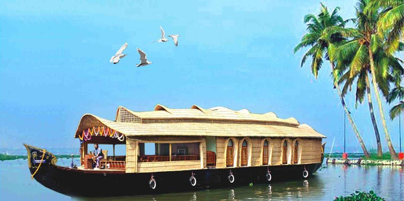 Kerala Hills & Backwaters Tour