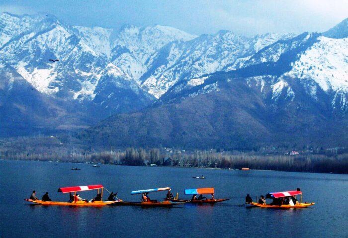 Fine Kashmir Package