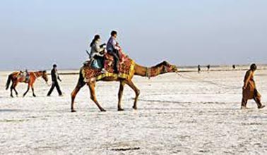 Gujarat Desert Beach Tour