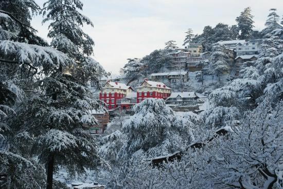 Shimla Short Escape Tour