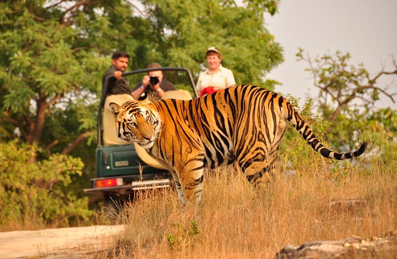 An Action-Packed Uttarakhand Tour Package