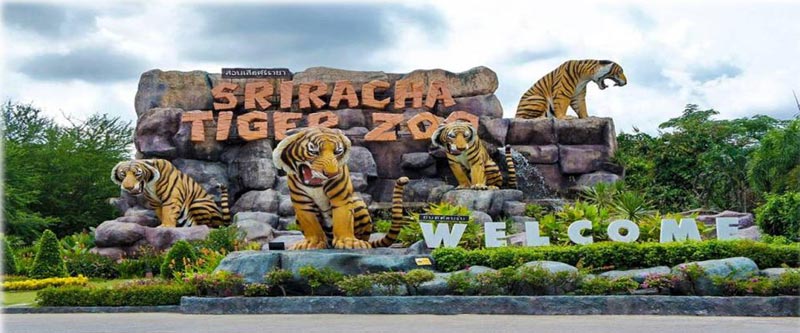 Thailand Group Tour From Nagpur