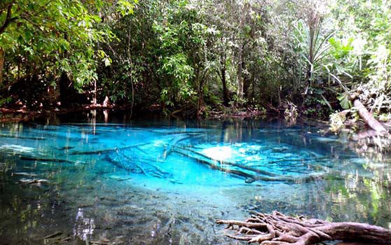 Krabi Rain Forest And Island Package