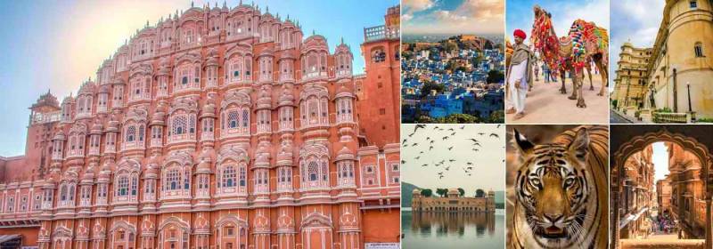 Jaipur Local Sight Seeing Tour