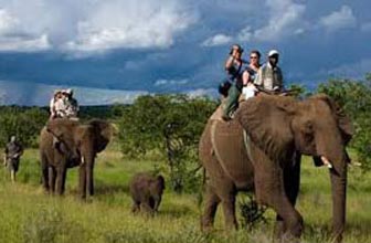 Wildlife Elephant Back Safari Tour