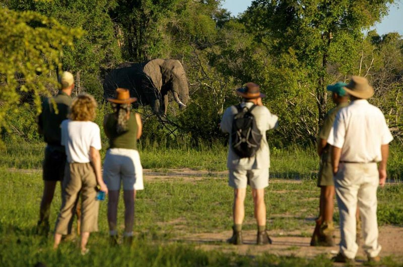 Walking Safaris Tour