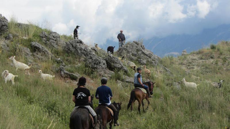 Horse riding, off road and rafting, - the proper way to explore Albania Tour