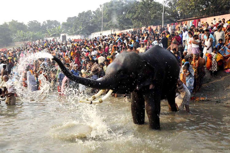 Sonpur Festival Bihar Tour