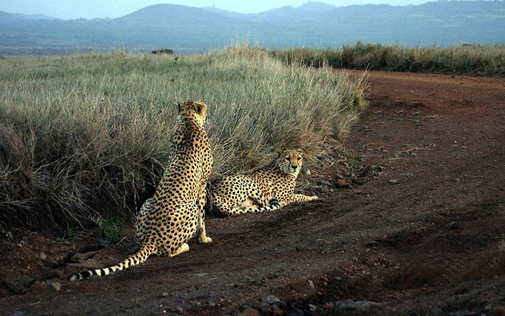 Northern Circuit Itinerary Tour