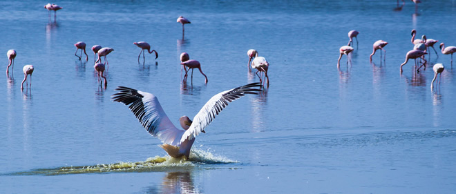 2 Days Lake Magadi Adventure Tour