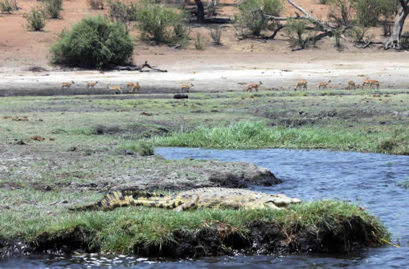 Best Of Western Tanzania - Katavi And Mahale 8 Days Tour