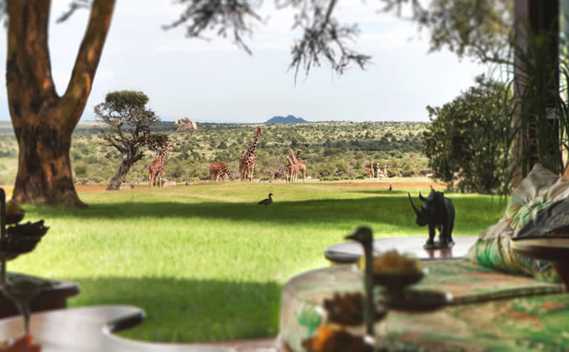 8 Night - 9 Days Golfing Tour Package