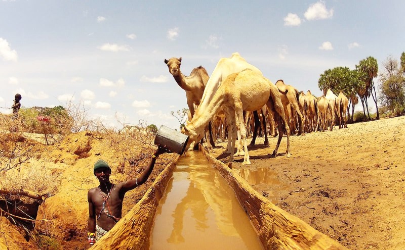 Cradle Of Mankind 19N - 20D Tour