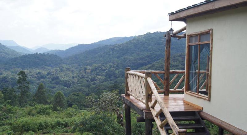 5 Days Rwanda Gorillas And Chimpanzee Tracking Tour