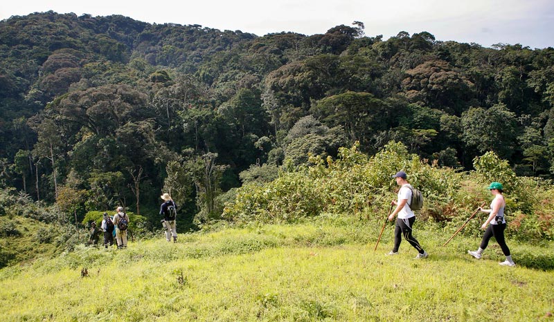 5 Days Rwanda Gorillas And Chimpanzee Tracking Tour