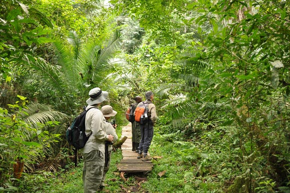 5 Days Rwanda Gorillas And Chimpanzee Tracking Tour