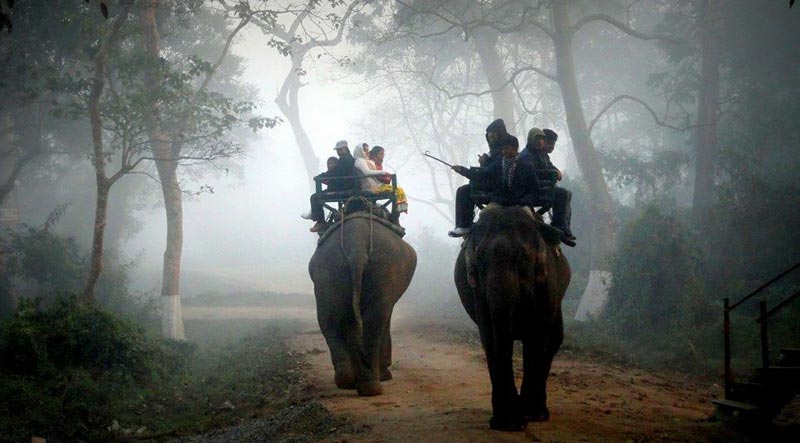 Shillong – Kaziranga Tour (6 Nights/ 7 Days)
