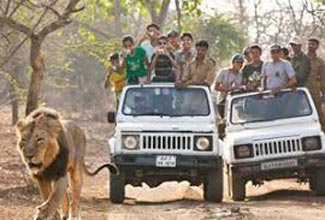 Short Escape To Gir Tour