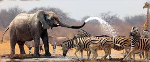 South Africa  9 Nights / 10 Days Tour
