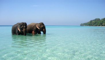 Amazing Holidays in Andaman ( 4 Nights )