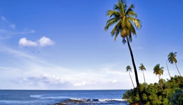 Holidays for Honeymooners ( 4 Nights )