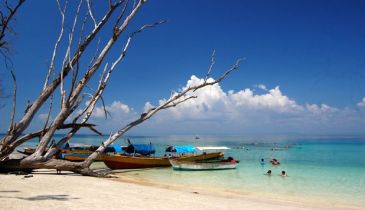 Holidays for Honeymooners ( 4 Nights )