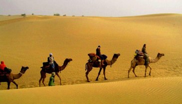 Rajasthan Glitters Tour