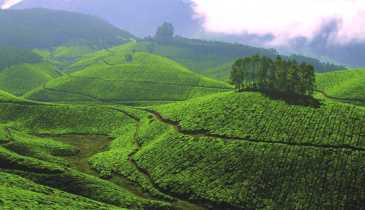 Mystic Beats of Kerala ( 6 Nights ) Tour