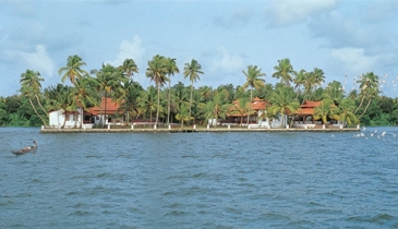 Coconut Holiday ( 5 Nights )