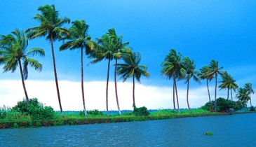 Coconut Holiday ( 5 Nights )