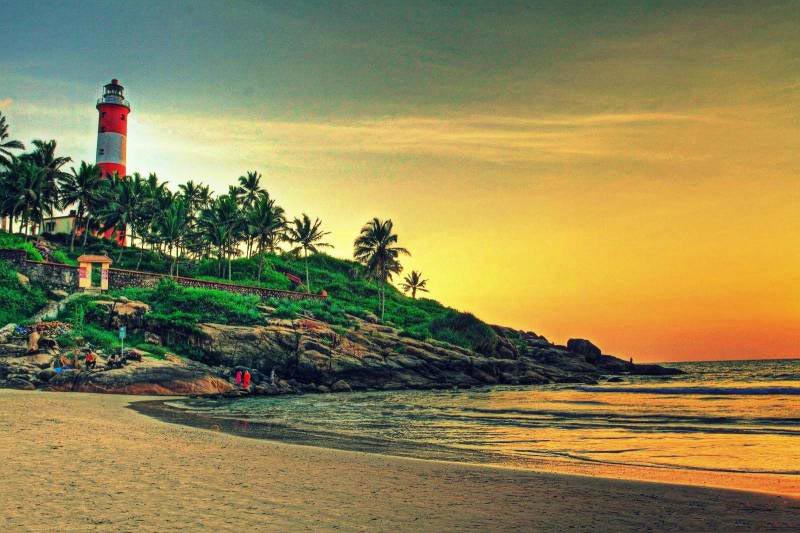 Kerala Spices ( 6 Nights )