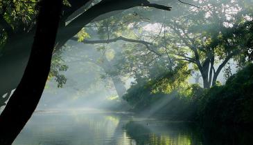 Floating Paradise ( 4 Nights )