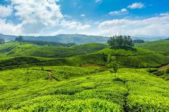 Hill Stations Of South India Tour