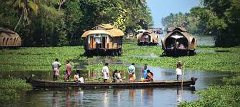 Kerala Backwater Tour In Alleppey