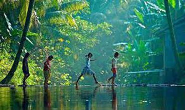 Best Of Kerala With Tree House Stay Tour