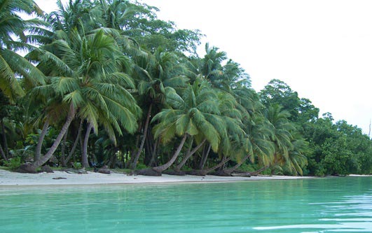 Port Blair Deluxe Package With Havelock Island 4 Days / 3 Nights