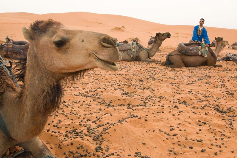 3 days Marrakech Desert Tour