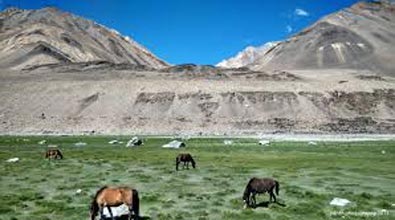 Splendour Of Ladakh Tour